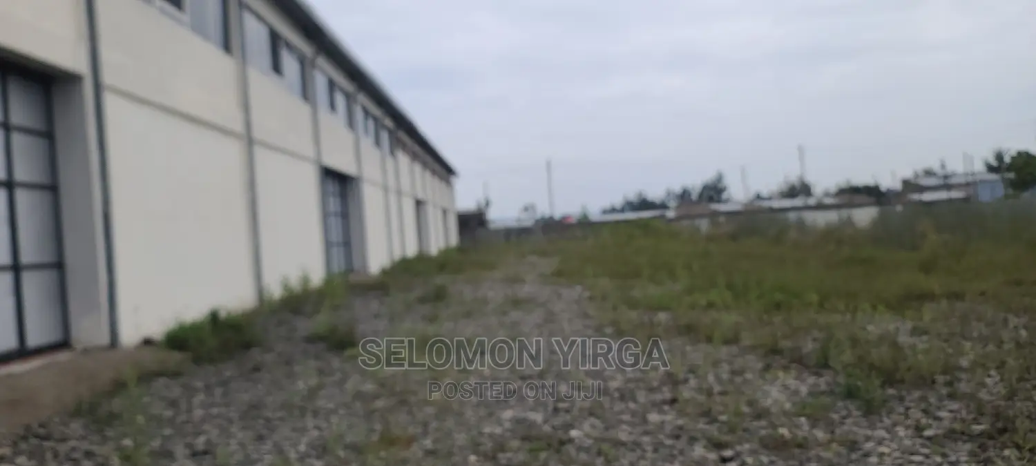 መጋዘን አለ የሚከራይ