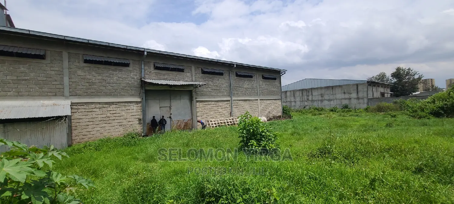 የሚከራይ መጋዘን አለ