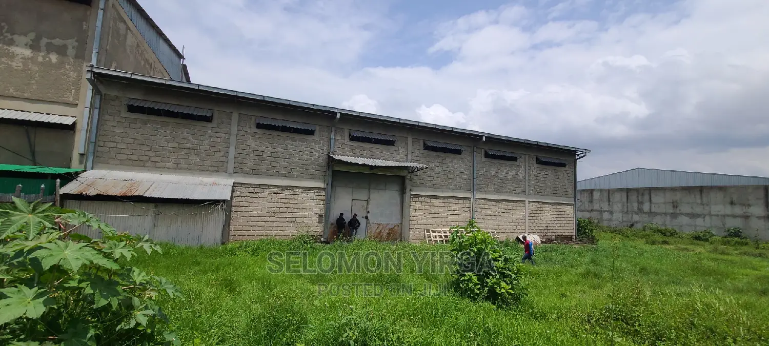 የሚከራይ መጋዘን አለ