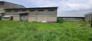 የሚከራይ መጋዘን አለ