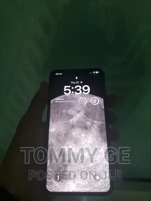 Apple iPhone 11 Pro Max 256 GB Gray