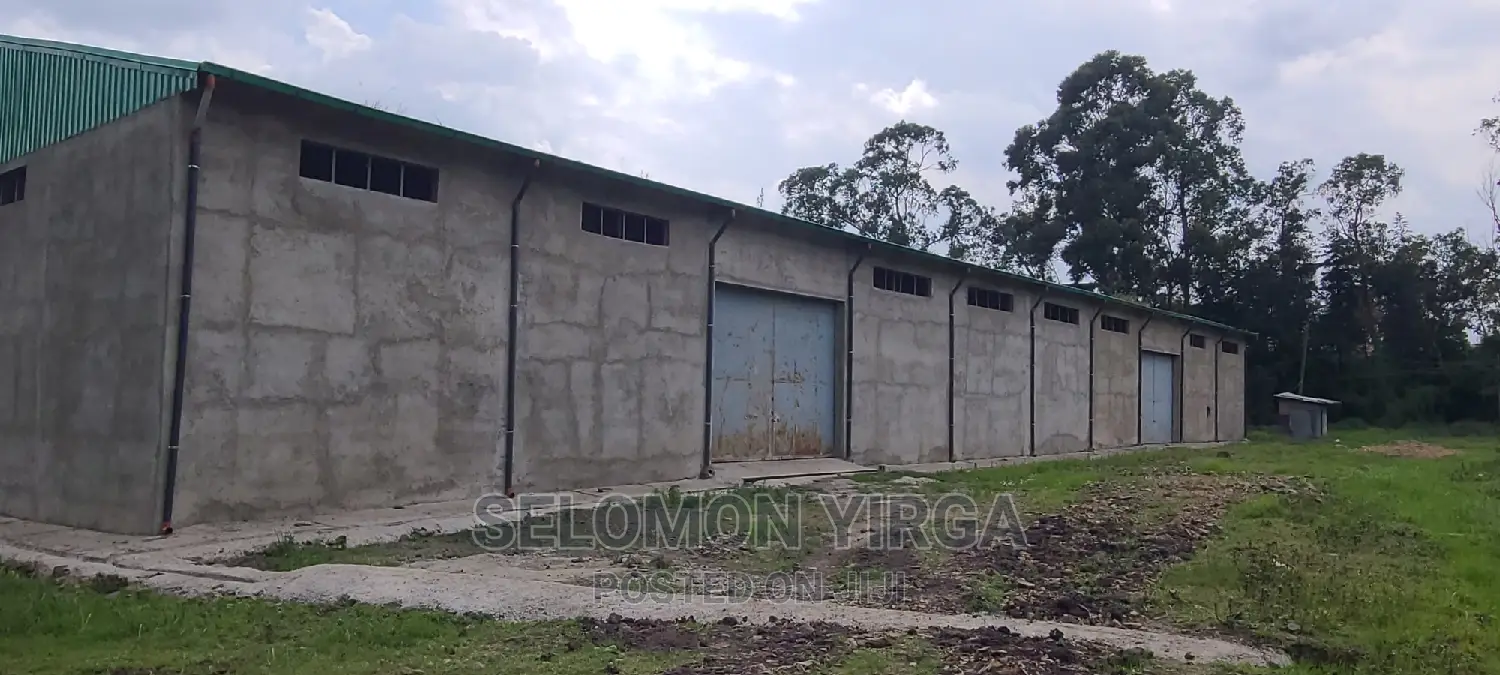 መጋዘን ማከራዬት ጀምረናል