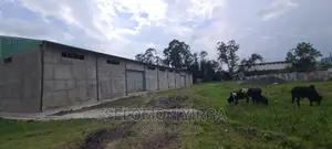 መጋዘን ማከራዬት ጀምረናል