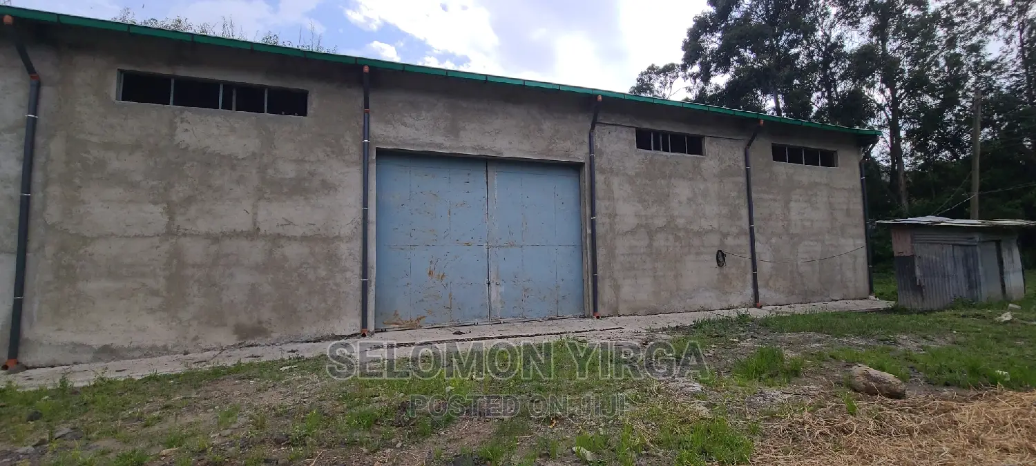 መጋዘን ማከራዬት ጀምረናል