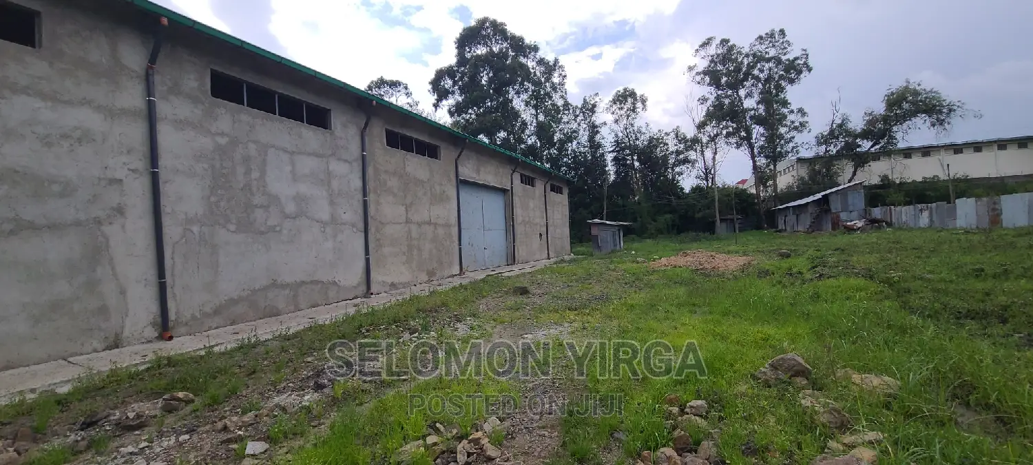 መጋዘን ማከራዬት ጀምረናል