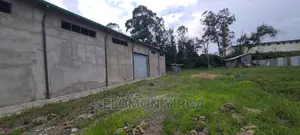 መጋዘን ማከራዬት ጀምረናል