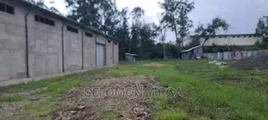 መጋዘን ማከራዬት ጀምረናል