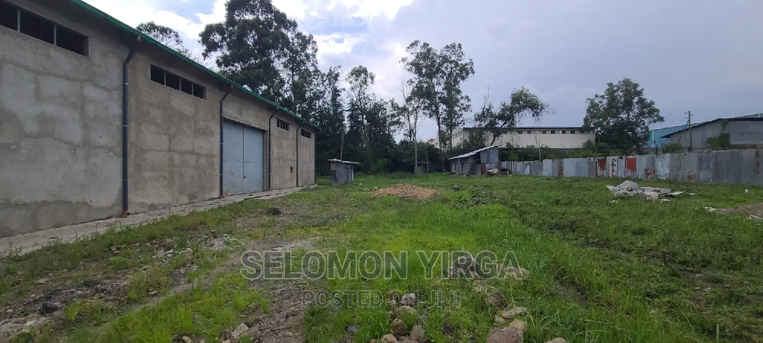 መጋዘን ማከራዬት ጀምረናል