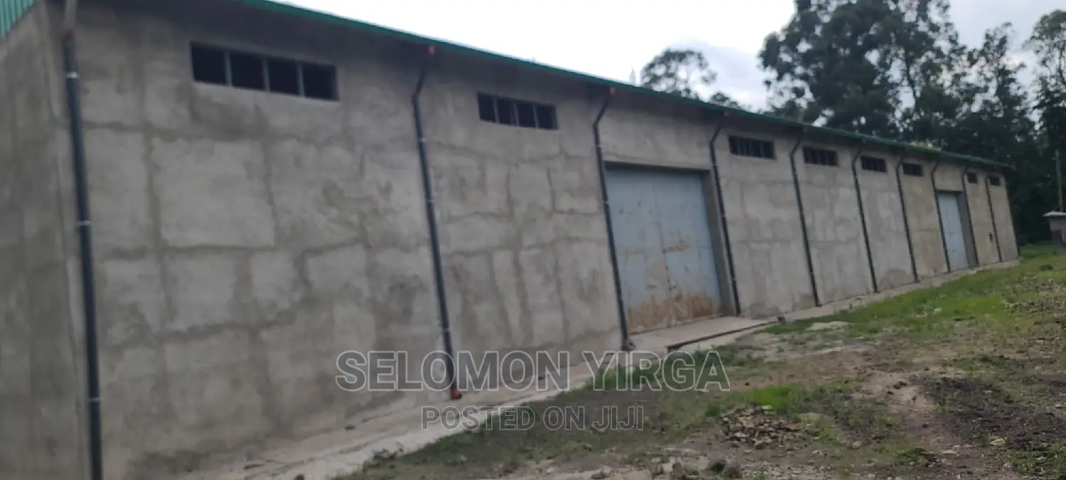 መጋዘን ማከራዬት ጀምረናል