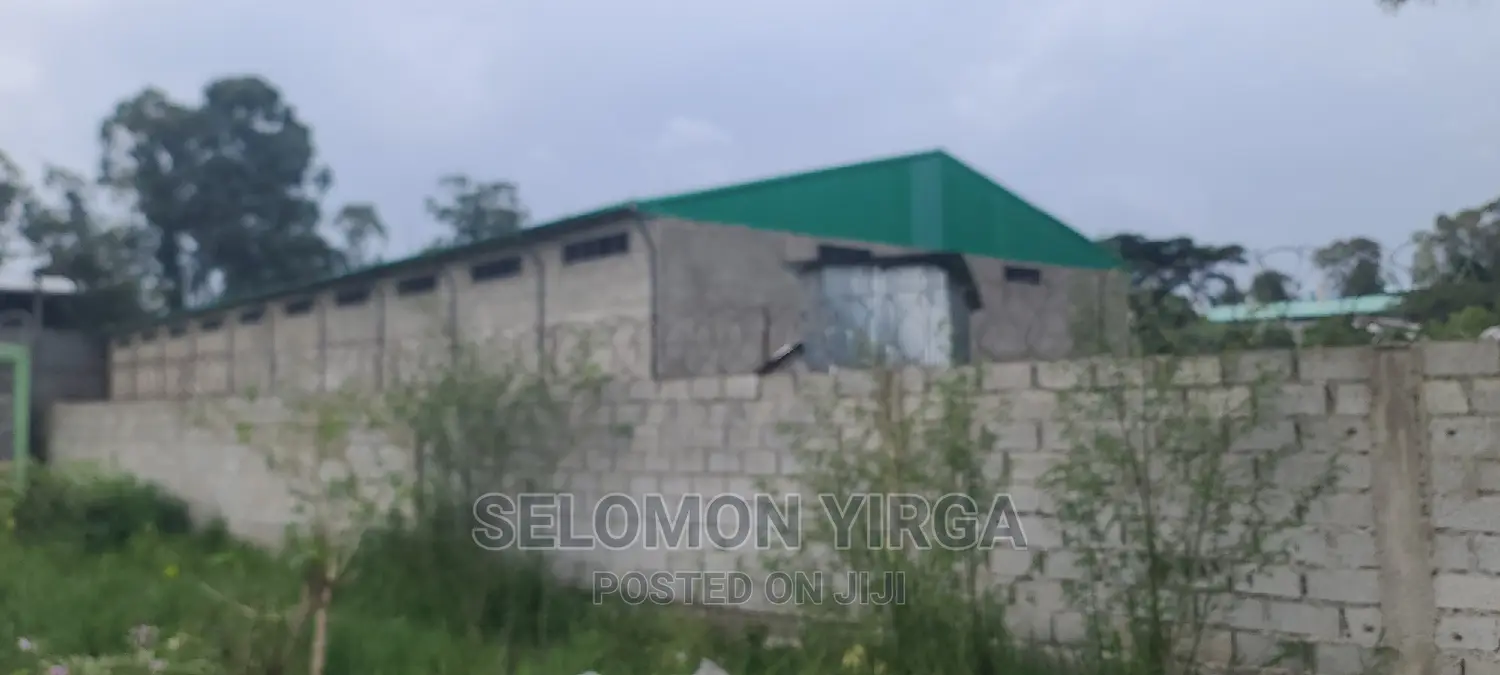 መጋዘን ማከራየት ጀምረናል