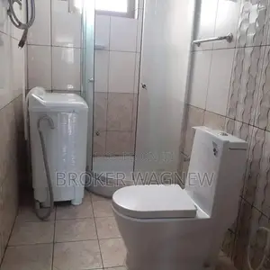 Furnished 2bdrm Apartment in Bole for rent