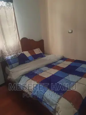 Furnished 3bdrm Villa in Bole for rent