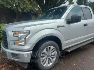 Ford F-150 2017 Silver