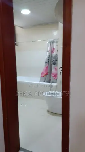 Furnished 3bdrm Apartment in Zema, Bole for rent