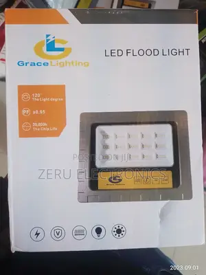LED Flood Light