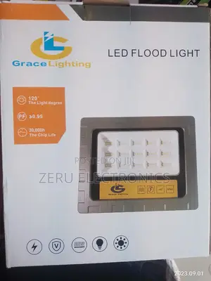 LED Flood Light