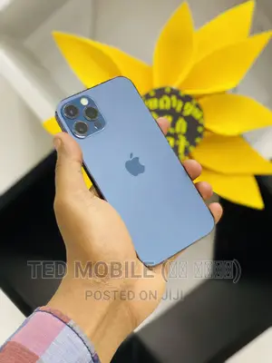 Apple iPhone 12 Pro 256 GB Blue