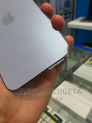 Apple iPhone 13 Pro Max 256 GB Blue