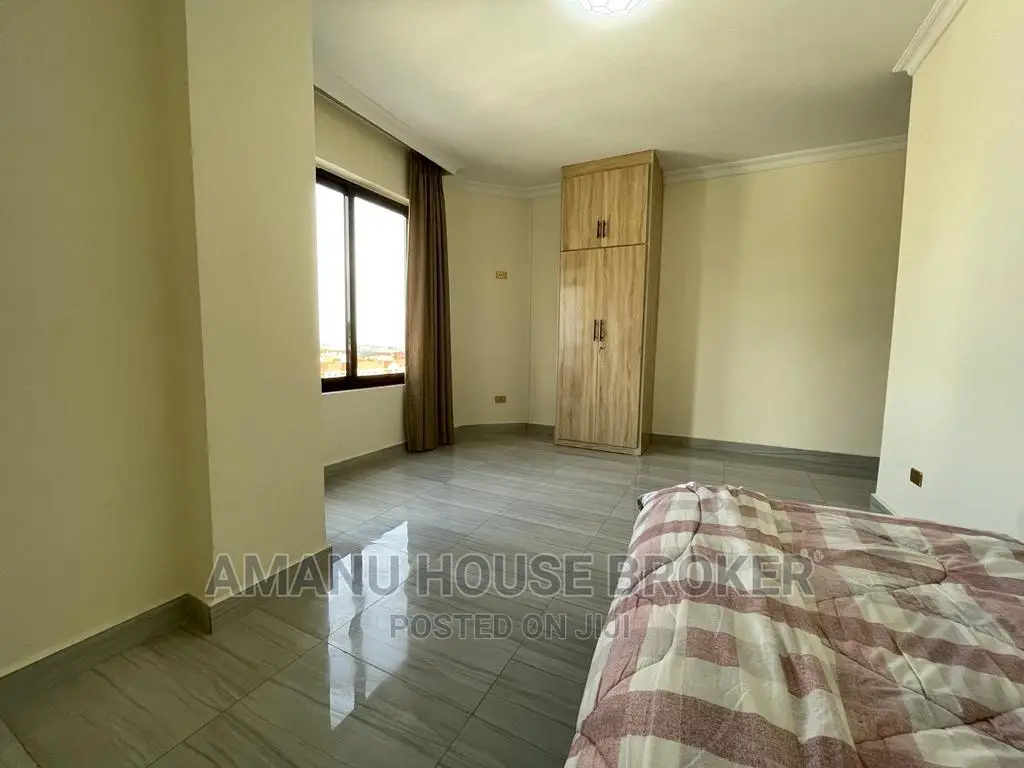 Furnished 3bdrm Apartment in አስቸኳይ የሚሸጥ አፓርትመንት, Lideta for sale