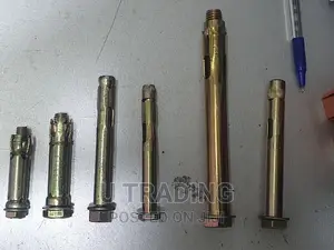 Anchor Bolt 10*100