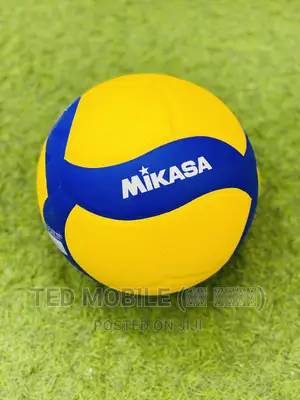 Photo - Mikasa Volleyball