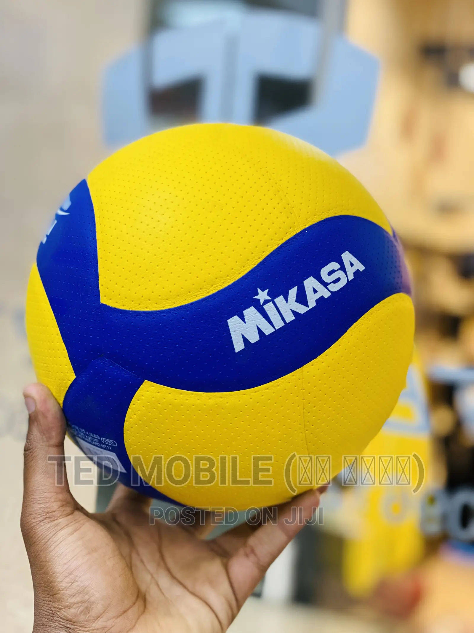 Mikasa Volleyball