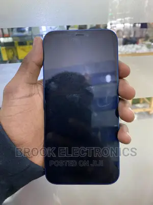 Apple iPhone 12 256 GB Blue