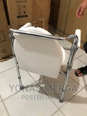 Commode Chair Skeleton Type