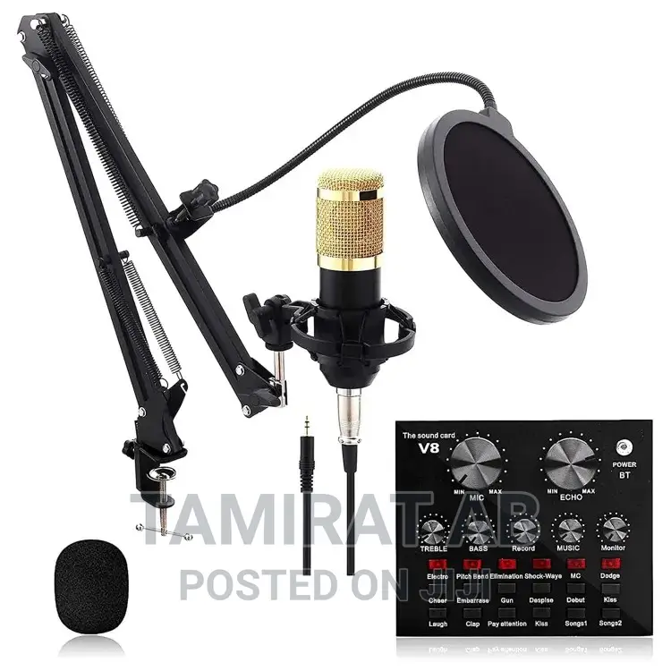 BM 800 Condenser Microphone With V8 Sound Card