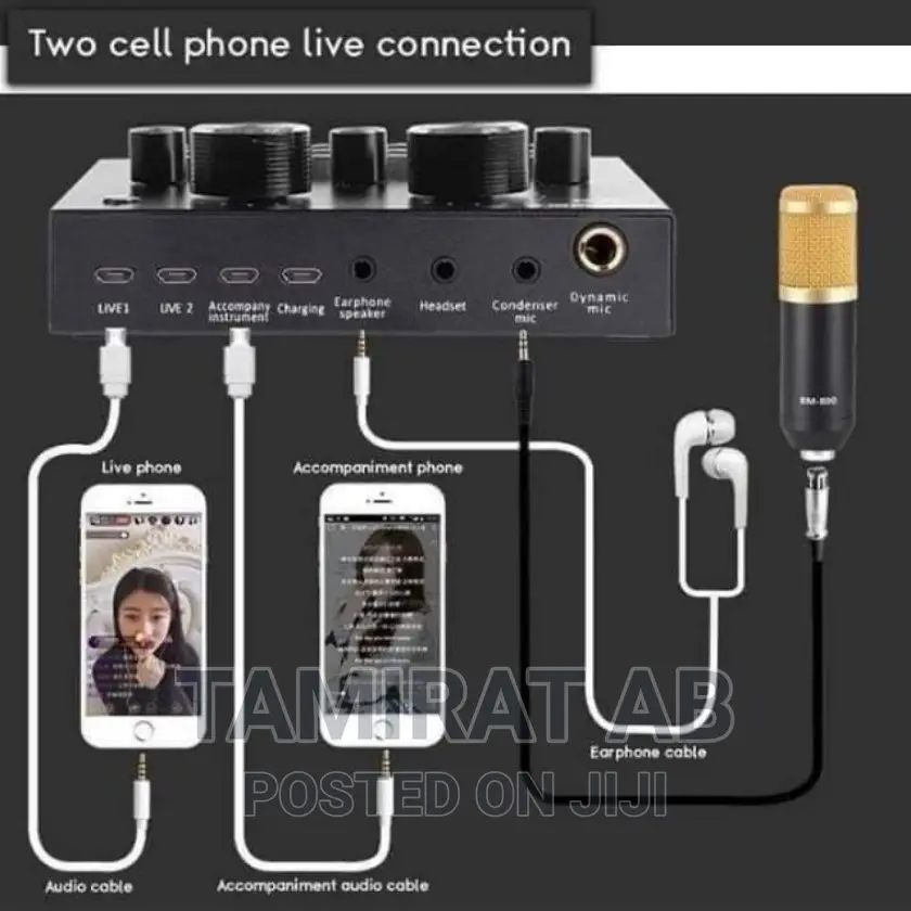 BM 800 Condenser Microphone With V8 Sound Card