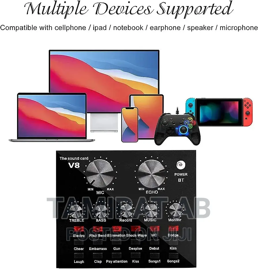 BM 800 Condenser Microphone With V8 Sound Card