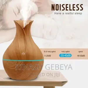 Photo - Home Humidifier For Good Smell