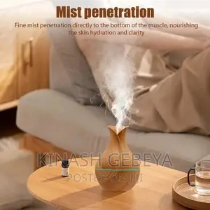 Home Humidifier For Good Smell