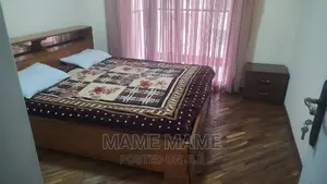 Furnished 2bdrm Apartment in Addis Abeba, Bole for rent