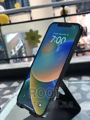 Apple iPhone 12 Pro Max 256 GB Blue