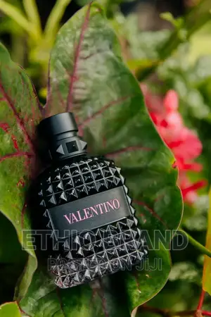 Photo - Valrino From Italy