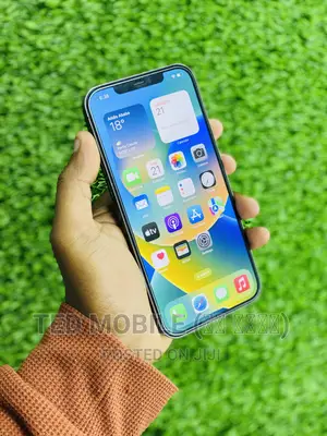 Apple iPhone 12 Pro Max 128 GB