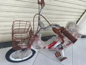 Bicycle New Girl Kids Creeper Bike