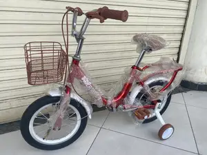 Bicycle New Girl Kids Creeper Bike