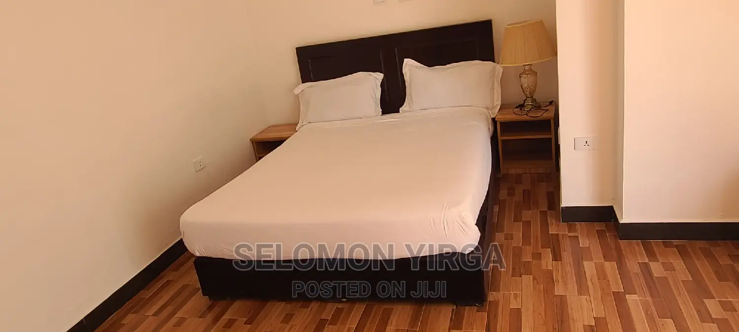 Furnished 3bdrm Apartment in አድስ አበባ, Bole for rent