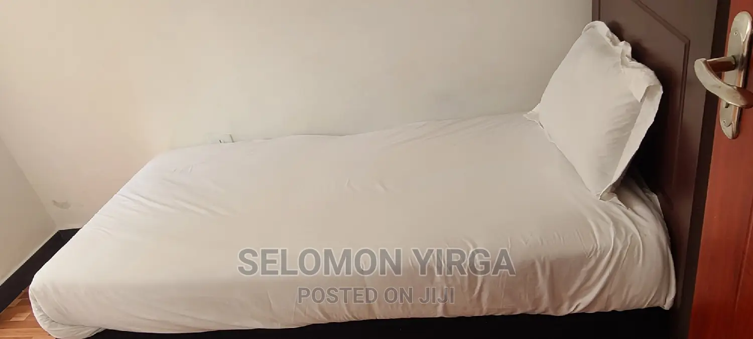 Furnished 3bdrm Apartment in አድስ አበባ, Bole for rent