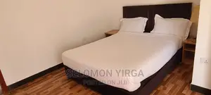 Furnished 3bdrm Apartment in አድስ አበባ, Bole for rent
