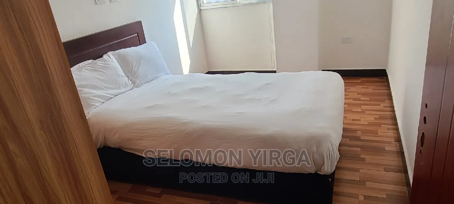 Furnished 3bdrm Apartment in አድስ አበባ, Bole for rent