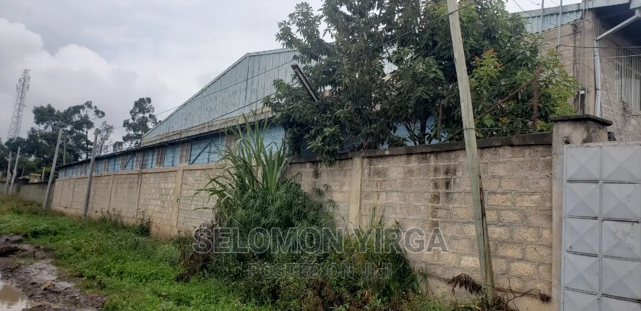 የሚከሪይ መጋዘን