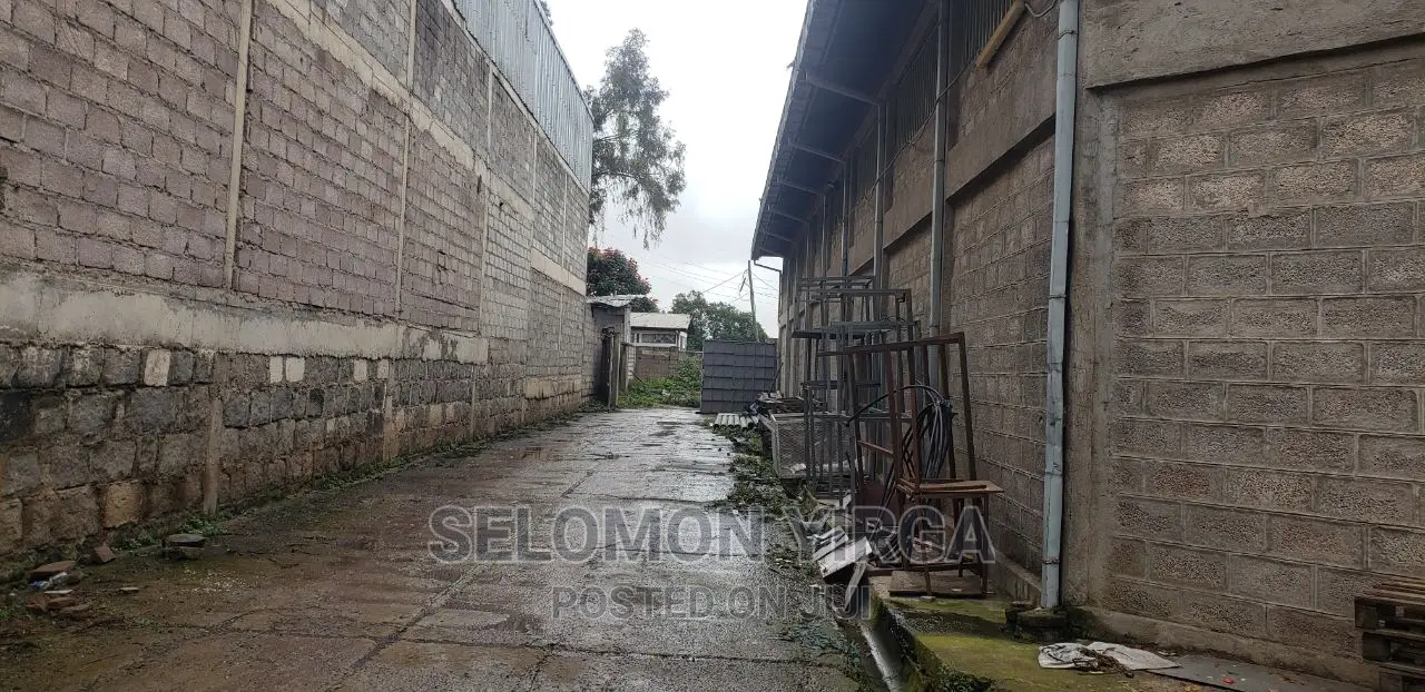 የሚከሪይ መጋዘን