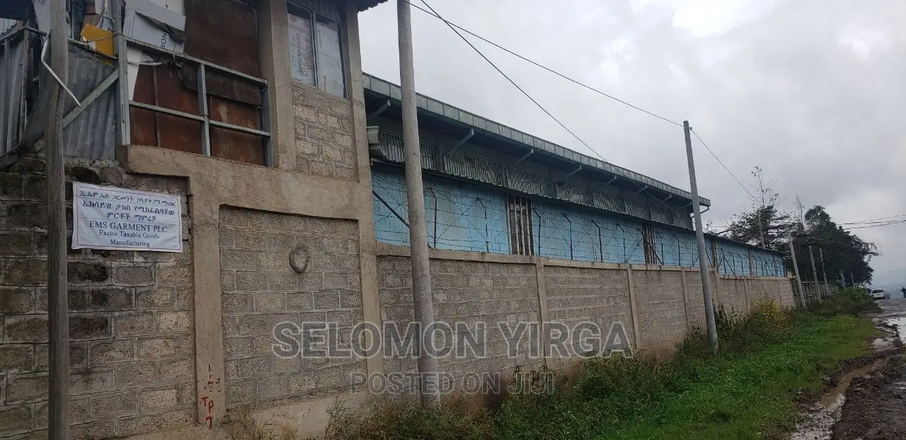 የሚከሪይ መጋዘን