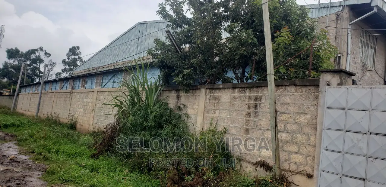 የሚከሪይ መጋዘን