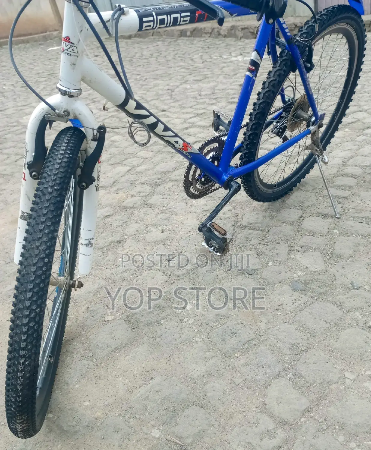 BIYCLE Viva Bike, Good Conditions