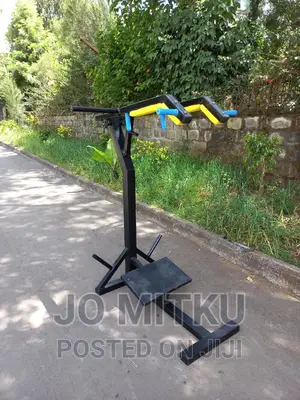 Photo - Plate Loaded Squat and Shoulder Press