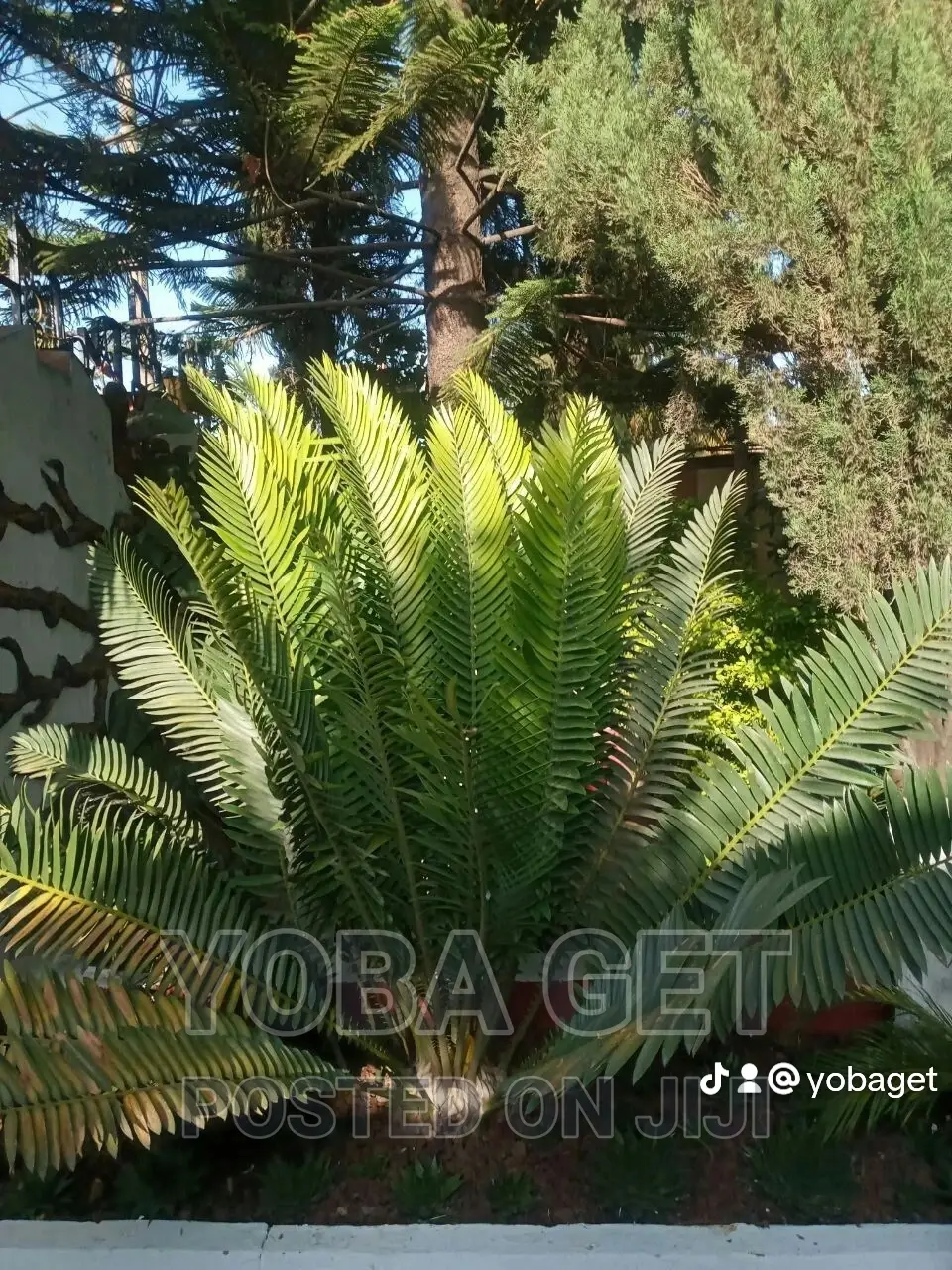 Furnished 10bdrm House in አስቸካይ የሚሸጥ ዘመናዊ ቤት, Akaky Kaliti for sale